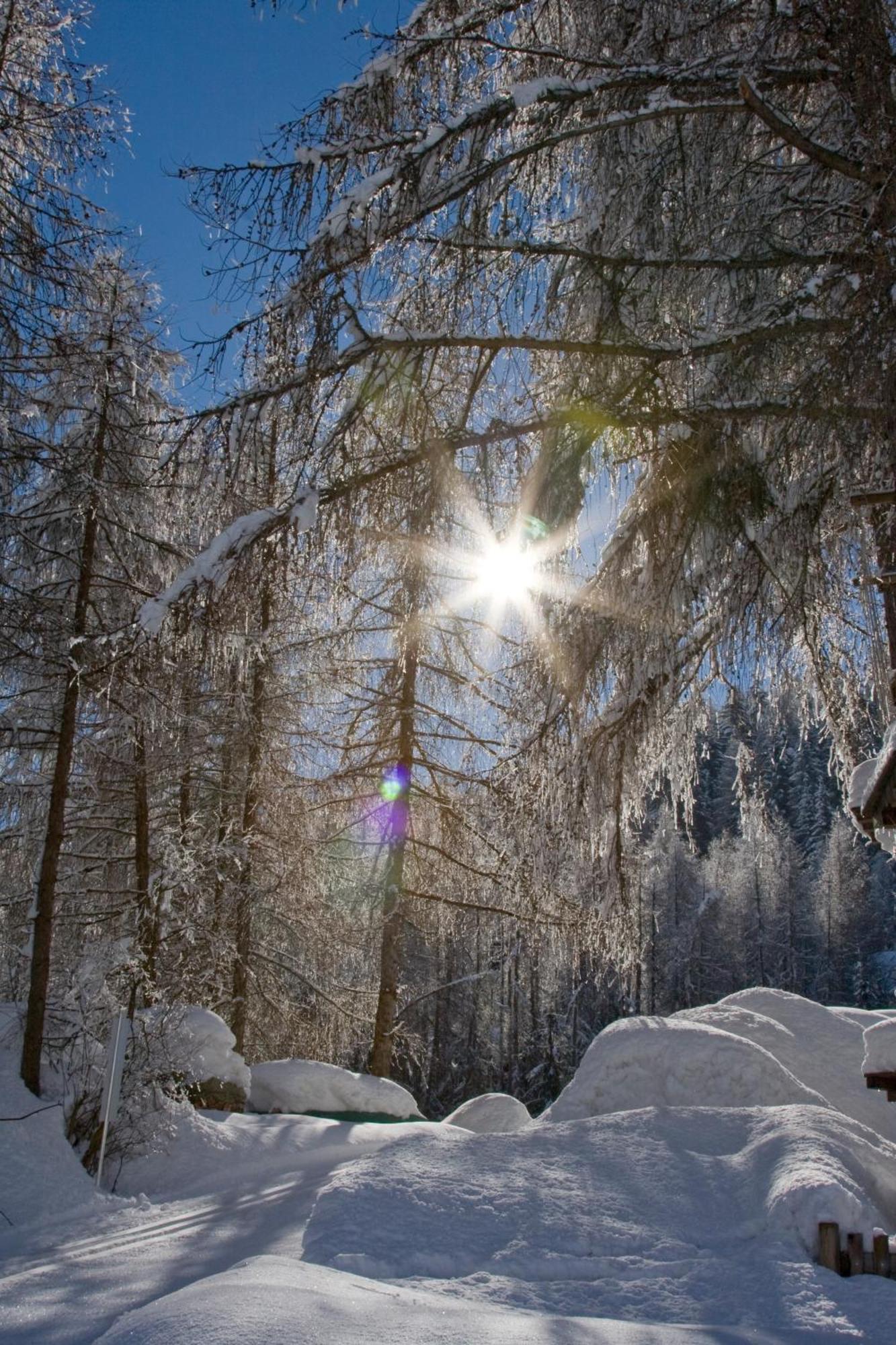 Appartement STAUDEN Innervillgraten Buitenkant foto